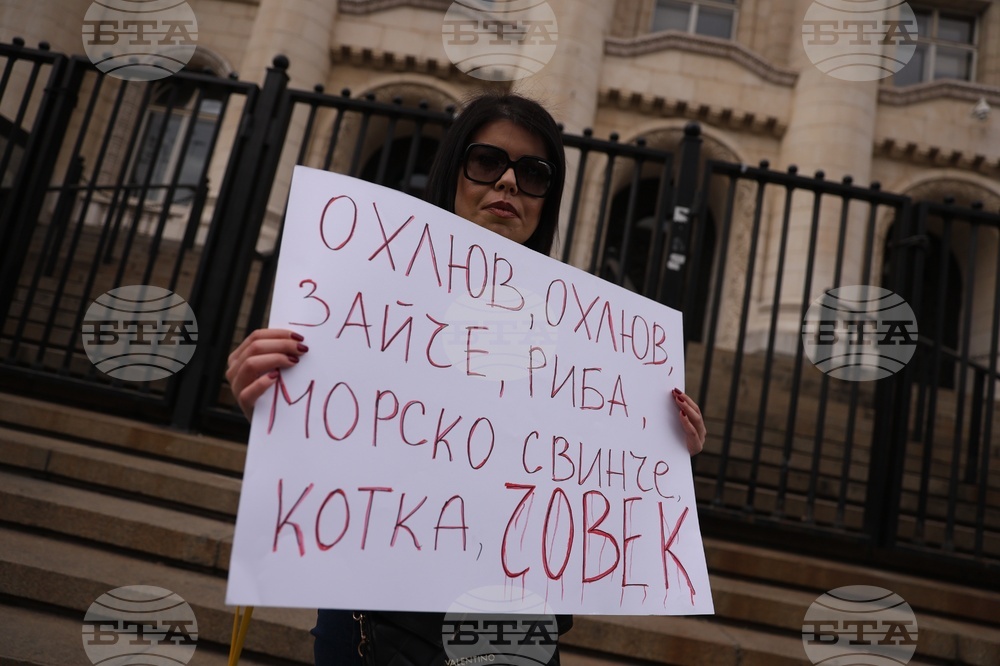 Протест - животни - защита