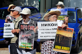 Варна - ветрогенератори - протест