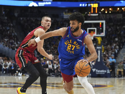 Heat Nuggets Basketball