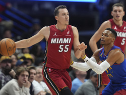 Heat Nuggets Basketball