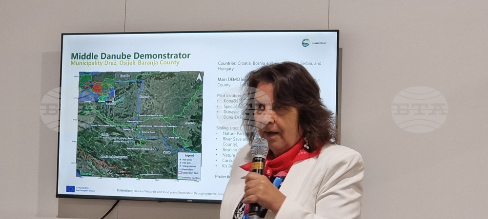 Bulgarian Academy of Sciences Presents Work on Danube Wetland Restoration Project at COP29