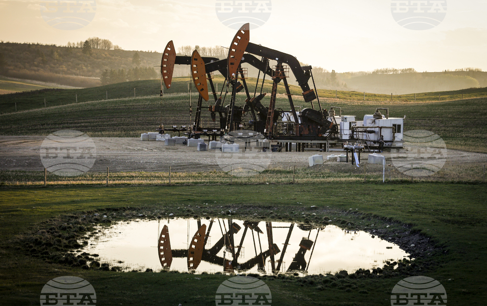 Петролът леко поевтиня на фона на плановете на ОПЕК за увеличаване на производството