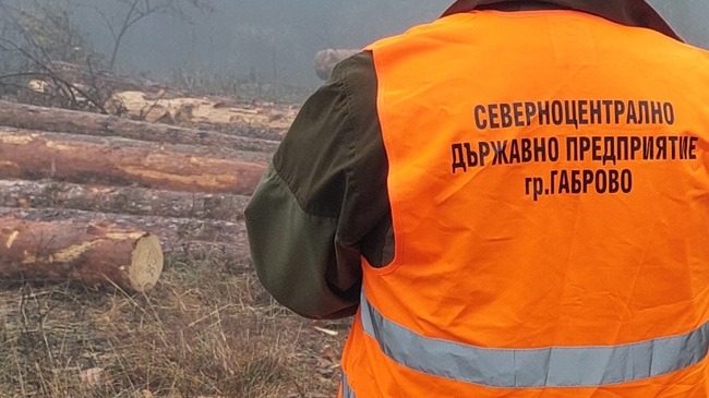1159 проверки на лесовъдите в Централна Северна България през април 2024 г.