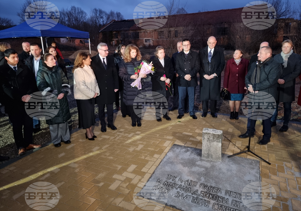 Vice President Iotova: Bulgaria Needs Stable Government