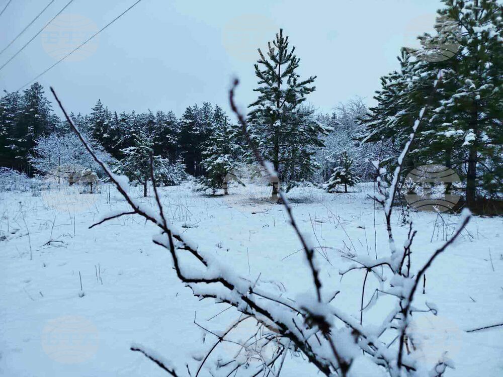 January Forecast: Temperatures to Range between Minus 20 and 15C