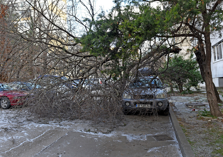 The situation in Vratsa has calmed down, electricity has been restored almost everywhere