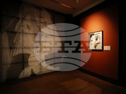 „Пикасо. Графики от колекцията на Националната галерия“ - изложба