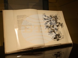 „Пикасо. Графики от колекцията на Националната галерия“ - изложба