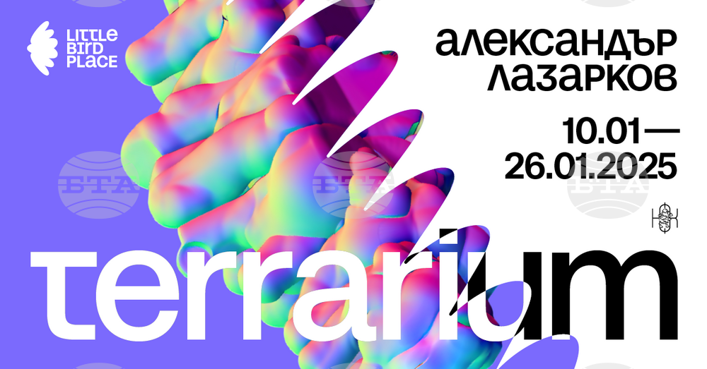 Terrarium Exhibition Opens in Little Bird Place Gallery in Sofia