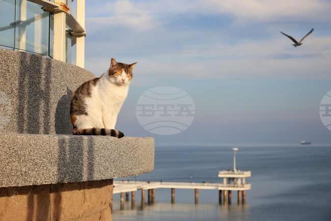 Прогноза за времето