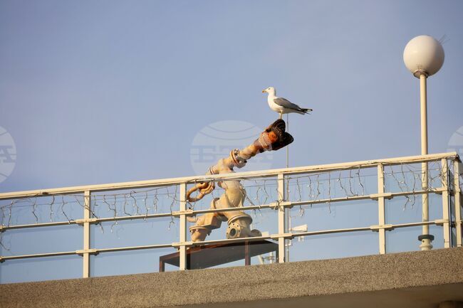 Прогноза за времето