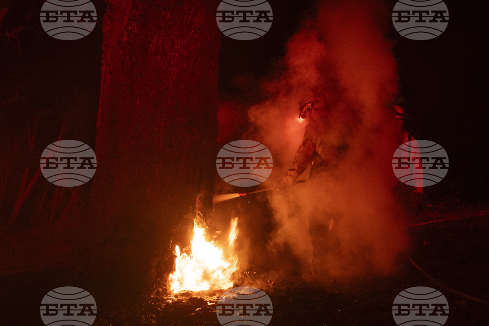 Горски пожар избухна в окръг Одрин близо до българо-турската граница