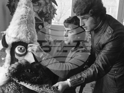 Подготовка за кукерските празници