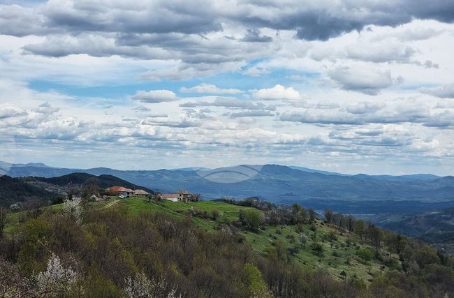 Прогноза за времето