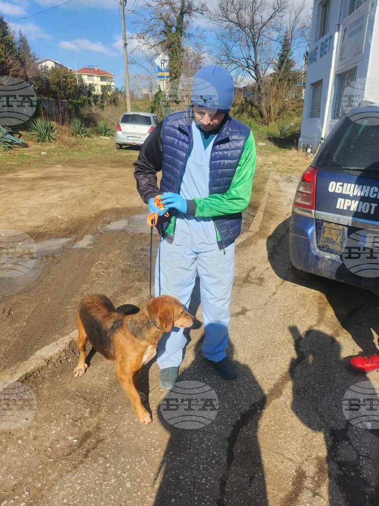 Община Благоевград: В дух на добросъседство Благоевград върна на Симитли едното куче „турист“, второто предстои да бъде осиновено