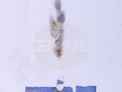 Творба от изложбата „Диалог чрез изкуство“. Снимка: НХА