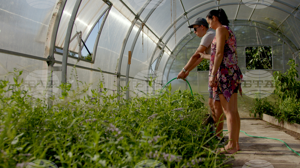 The Garden of Good Is about People with Special Needs, Their Dedication to Gardening, Film's Team Tells BTA