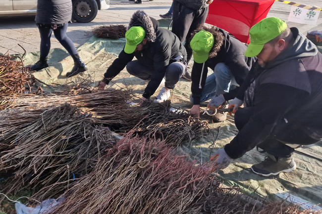 Самоков ще получи 15 000 дръвчета от Гората.бг на 28 октомври
