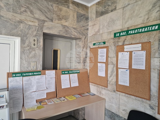По-малко от 15 процента от обявените свободни работни места в бюрата по труда в Търговищко са за хора с висше образование