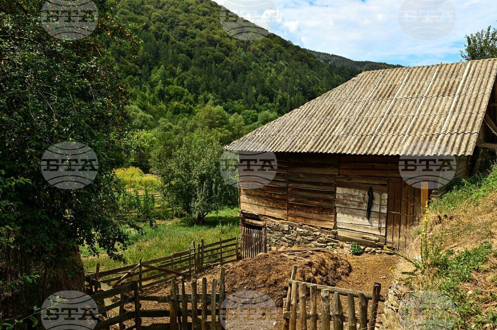 Сърбия - Долна Любата
