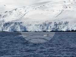 Antarctica - Smith Island - geological research