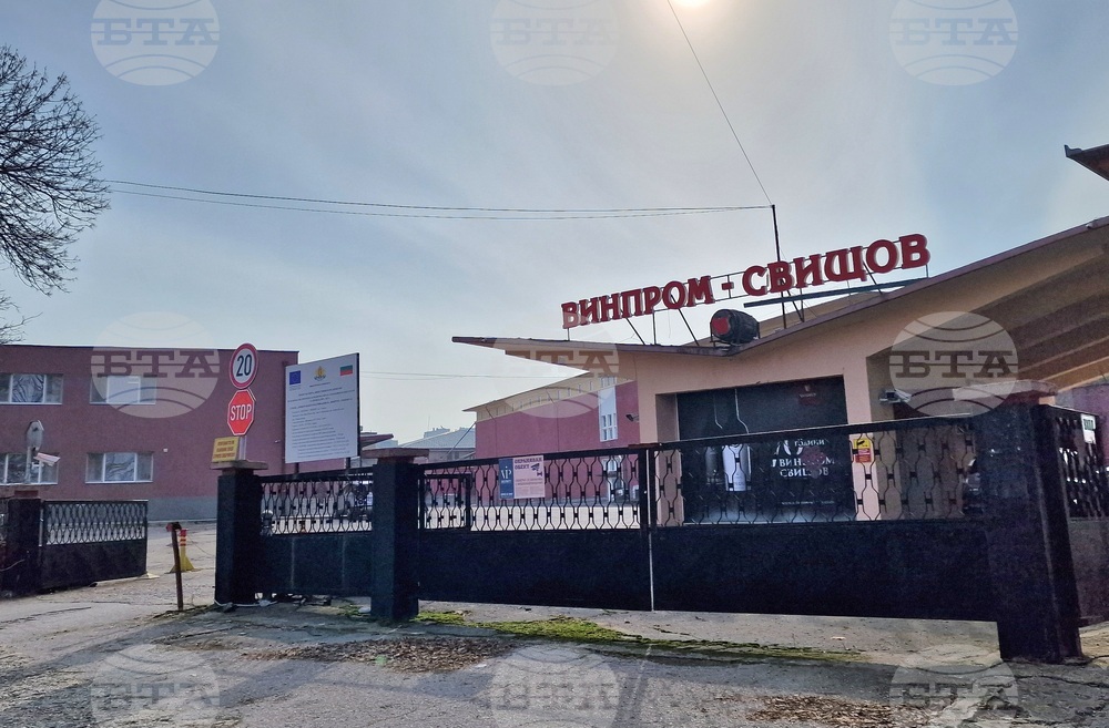 Във "Винпром - Свищов" АД винените технолози и агрономите са търсени и важни кадри, каза директор на дружеството