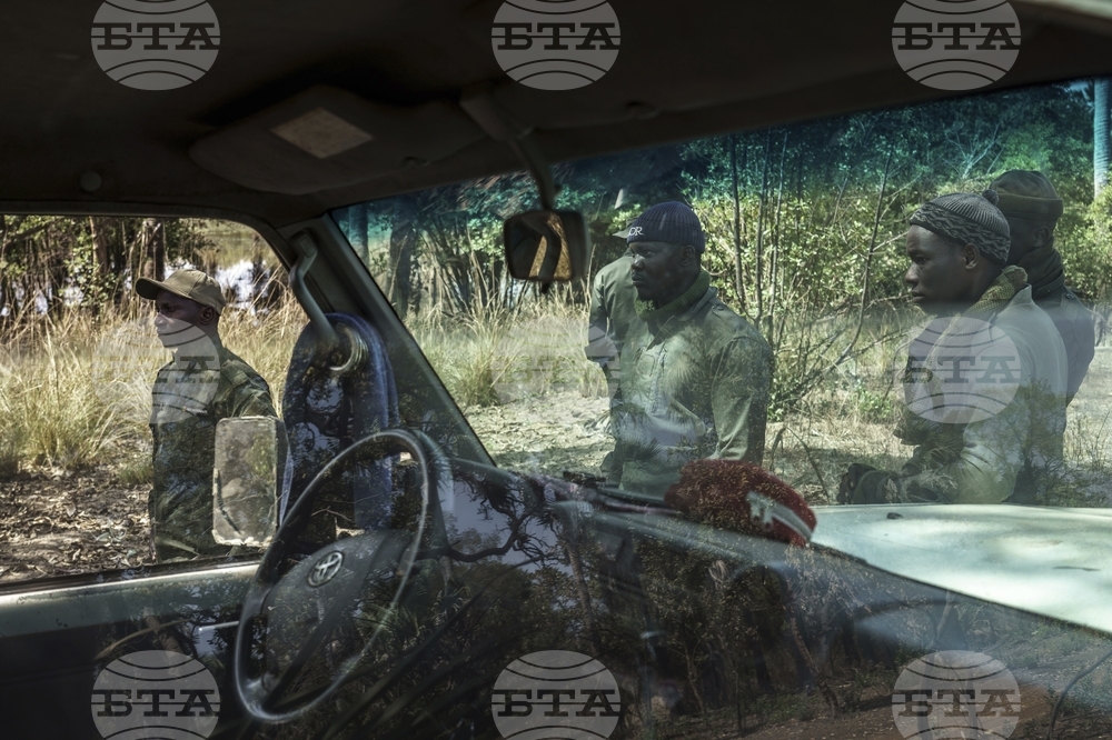 Climate Senegal Illegal Big Cat Trade