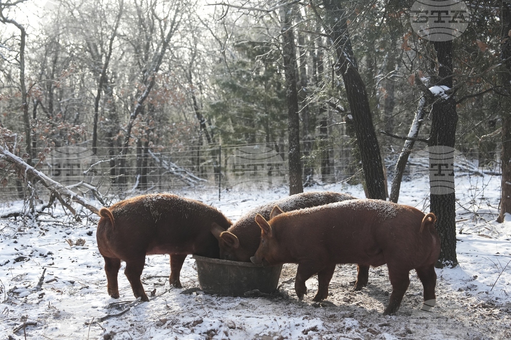 Winter Weather