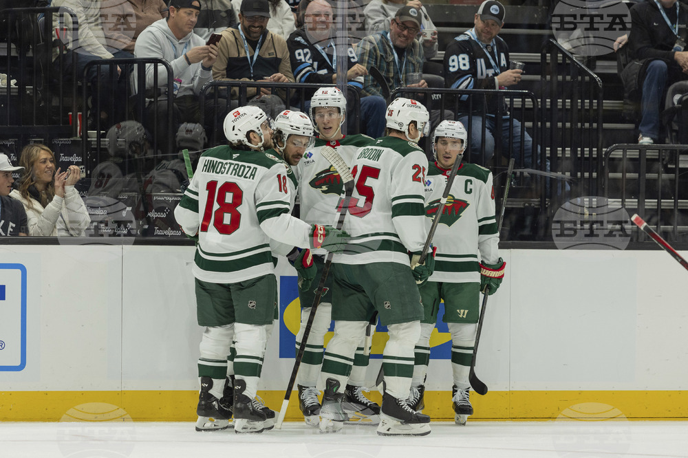 Wild Utah Hockey
