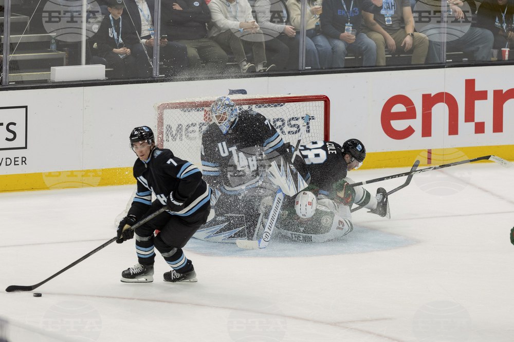 Wild Utah Hockey