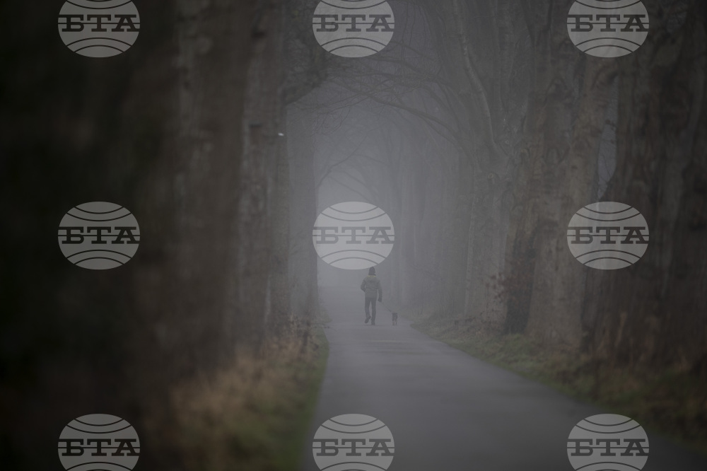 Нидерландските предприемачи виждат политиката като източник на несигурност