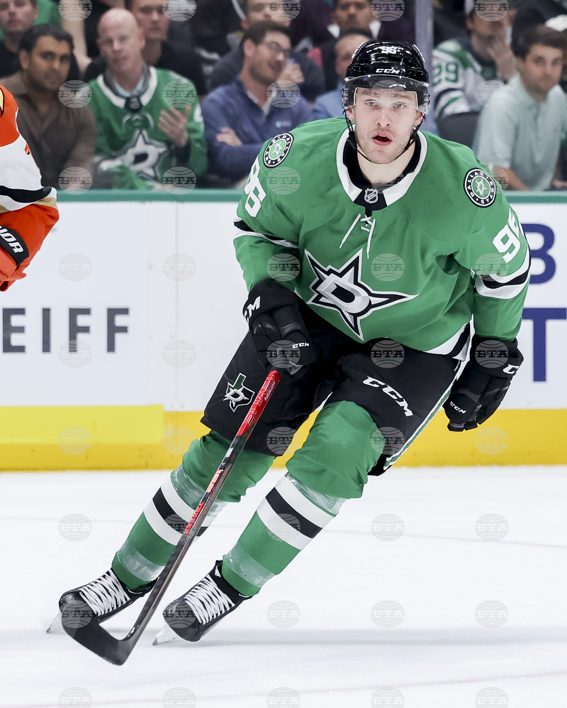 Ducks Stars Hockey