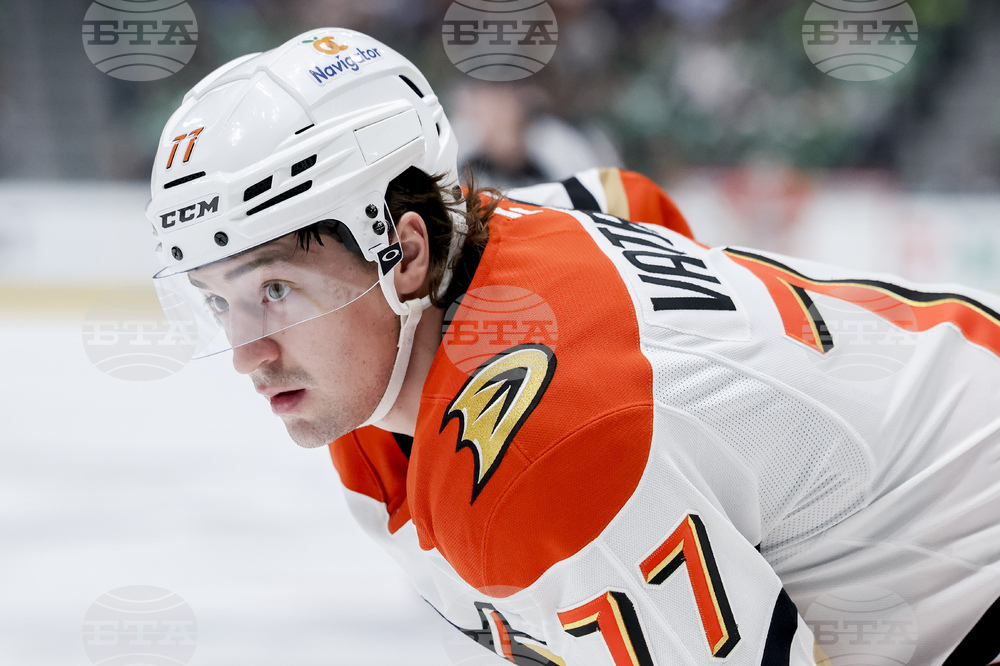 Ducks Stars Hockey