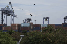 India US Tariffs