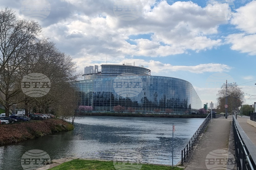 MEPs Call for EU Mission to Bulgaria over Blagomir Kotsev Case