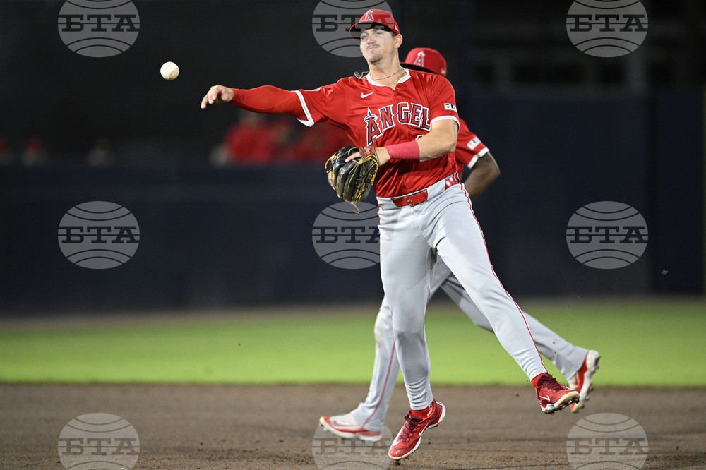 Angels Rays Baseball