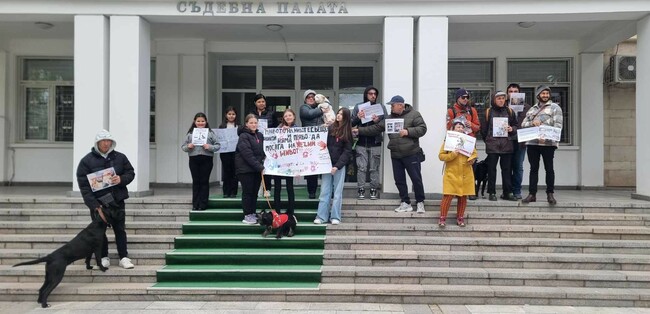 Протест в Силистра срещу насилието над животните