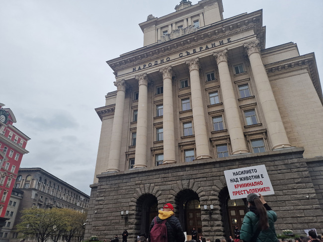 Премиерът Желязков открива кръгла маса за защита на животните в София