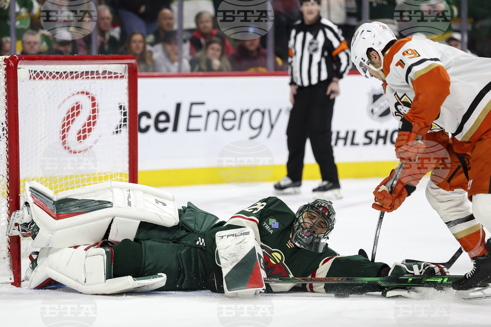 Ducks Wild Hockey