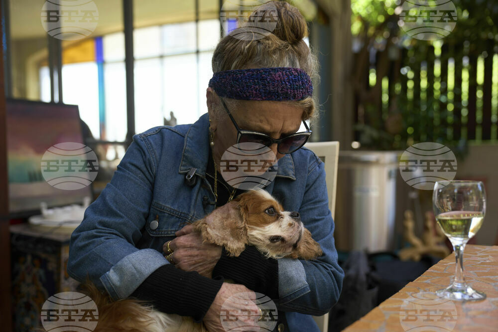 Israel Gaza Dog Rescue