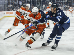 Ducks Jets Hockey