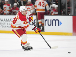 Flames Kings Hockey