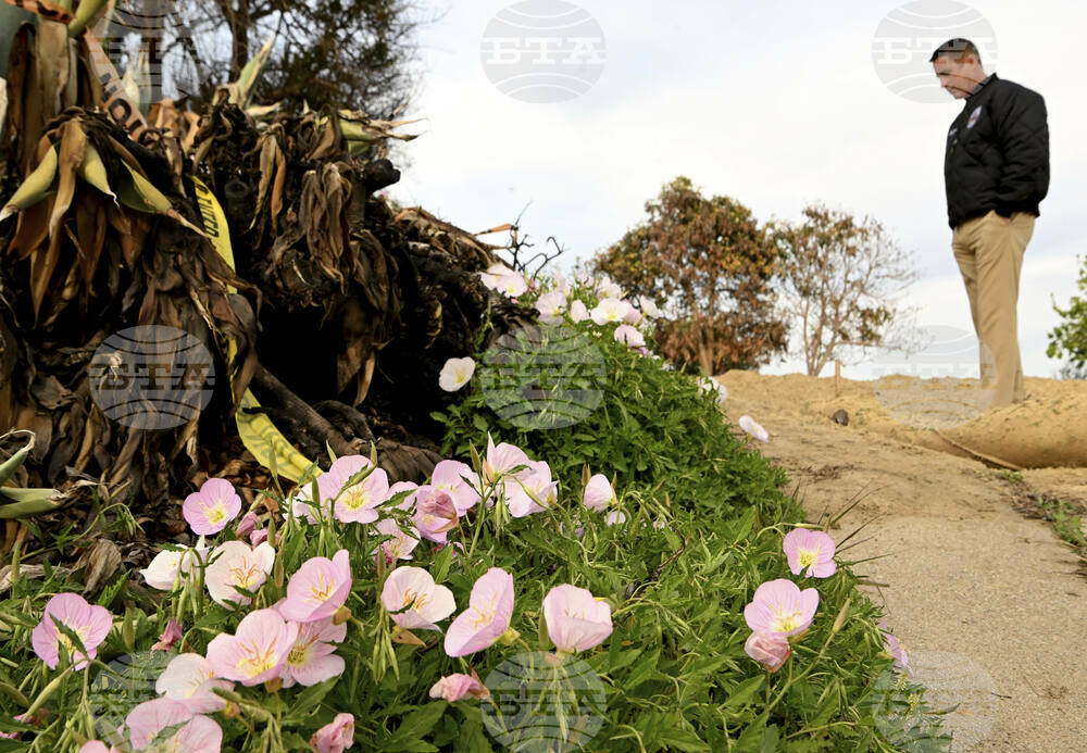 Philanthropy Mountain Fire Recovery