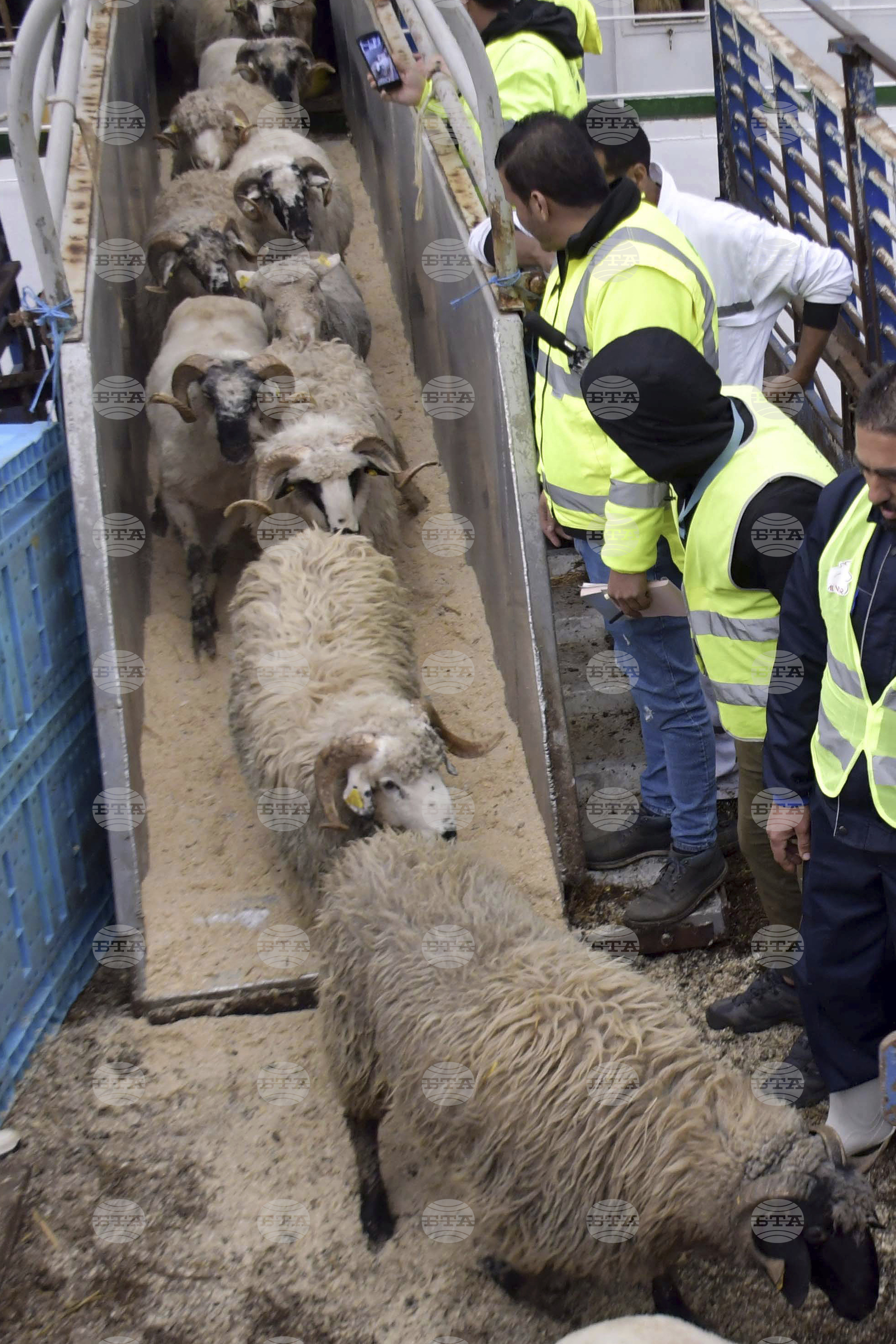 Algeria Eid al-Adh