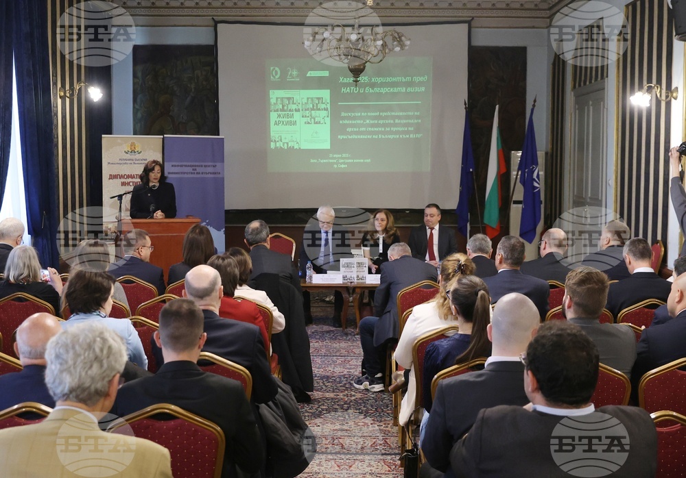 Experts Discuss Bulgaria's Vision for NATO Summit in June