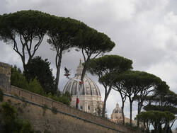 Vatican Pope