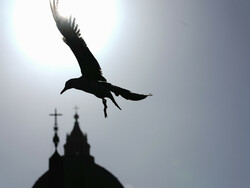 Vatican Pope
