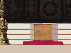 Vatican Pope