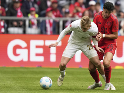 Germany Soccer Bundesliga