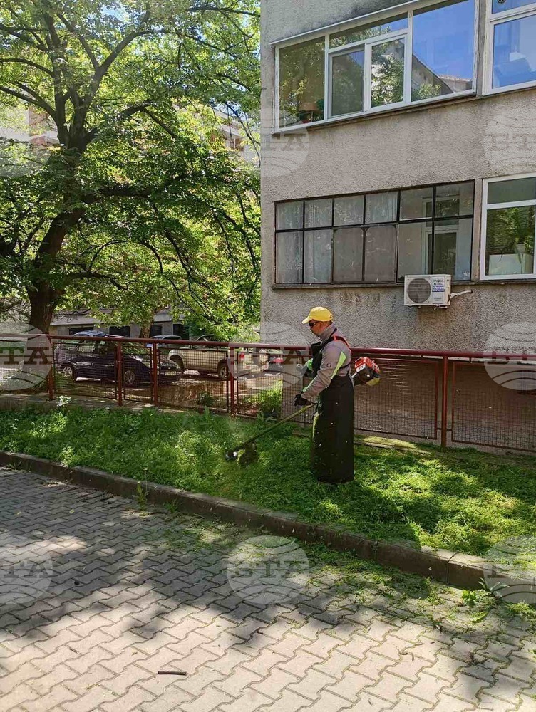 Община Стара Загора: От днес започна косене на зелените пространства в Стара Загора